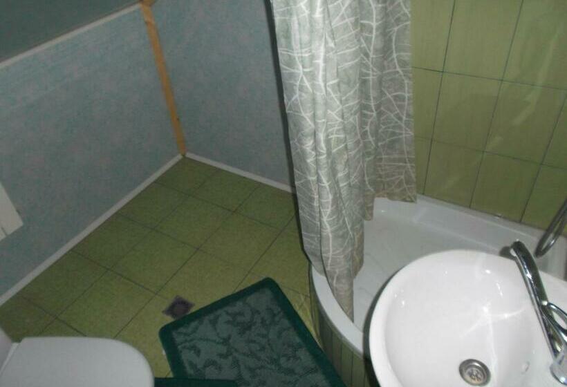 غرفة قياسية, Rukavychka