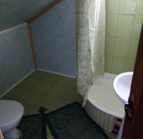 غرفة قياسية, Rukavychka