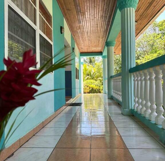 اتاق استاندارد, Seagrape Plantation Resort & Dive Center