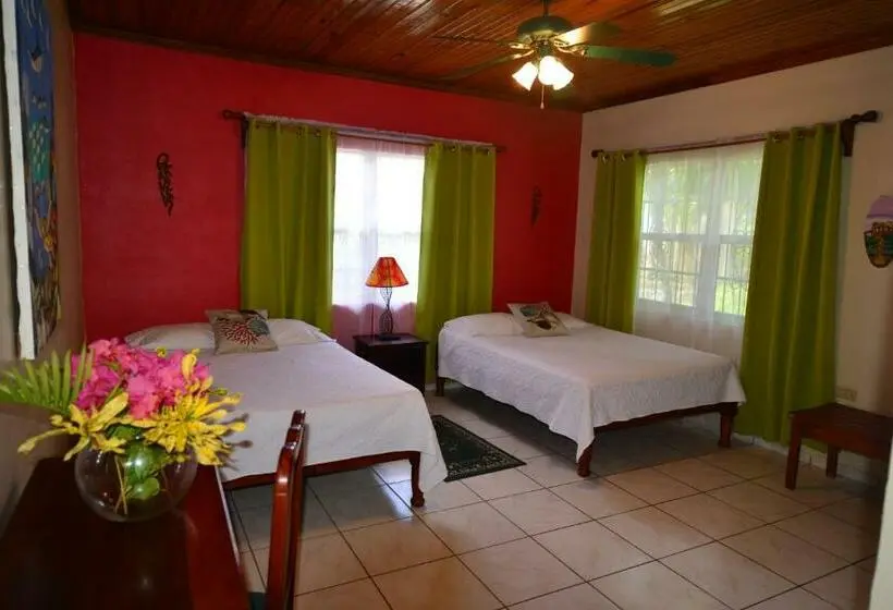 اتاق استاندارد, Seagrape Plantation Resort & Dive Center