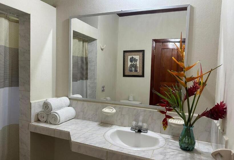 اتاق استاندارد یک نفره, Seagrape Plantation Resort & Dive Center