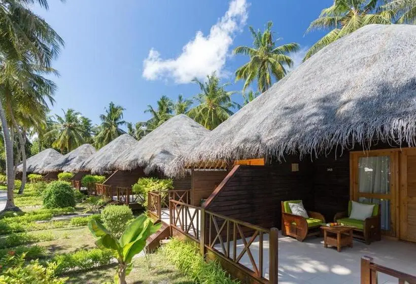 ویلای 1 خوابه, Bandos Maldives