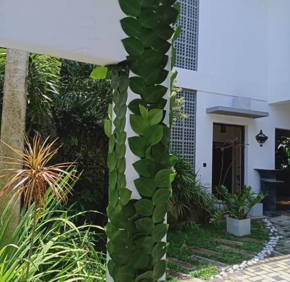 디럭스 룸, Paddy Bungalow