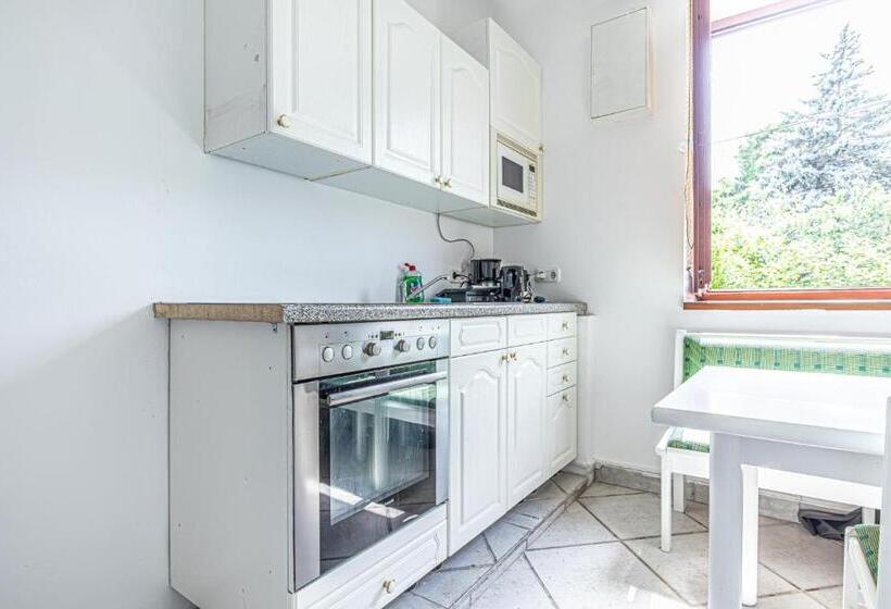 اتاق استاندارد با سرویس بهداشتی مشترک, Comfy Rooms In Shared Villa With Terrace And Garden