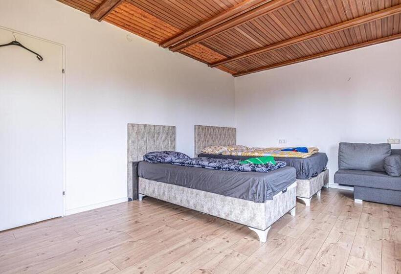 اتاق خانوادگی با سرویس بهداشتی مشترک, Comfy Rooms In Shared Villa With Terrace And Garden