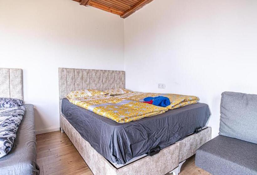 اتاق خانوادگی با سرویس بهداشتی مشترک, Comfy Rooms In Shared Villa With Terrace And Garden