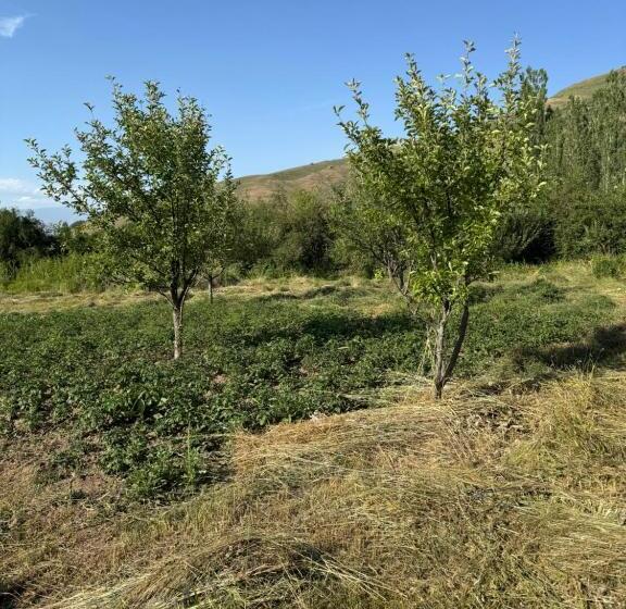 דירה בת חדר שינה 1 עם נוף, Chimgan Forest Garden Camping Resort