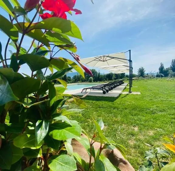 プールの見える１ベッドルームアパートメント, Agriturismo Borgo Delle Rose