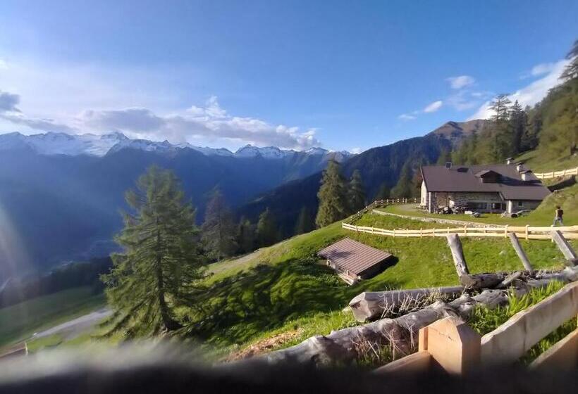 חדר משפחתי נוף להרים, Malga Plan