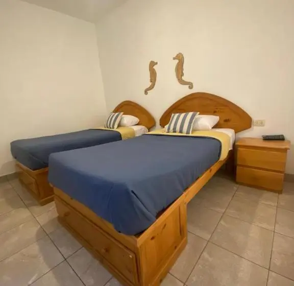 スタンダードルーム, Ravenala Paracas Hostel