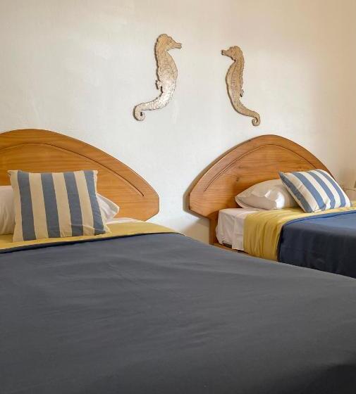 غرفة قياسية, Ravenala Paracas Hostel
