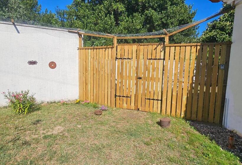 جناح ديلوكس, Casal Cura   Adults Only