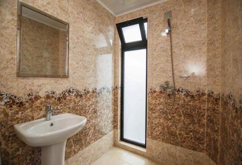 اتاق استاندارد, Ararat