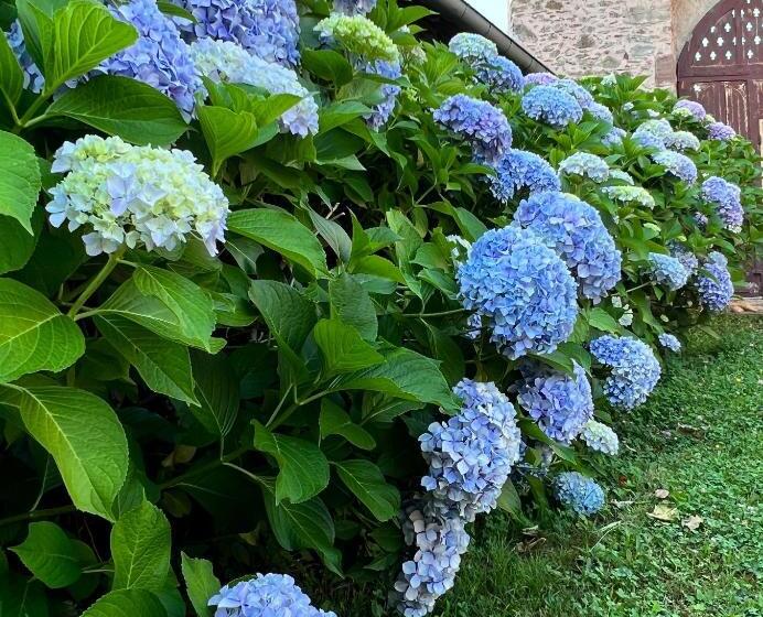 标准间, Le Manoir De Jasmine
