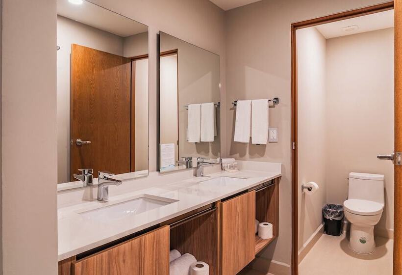 スタンダードルーム, Wyndham Garden Mazatlan Marina