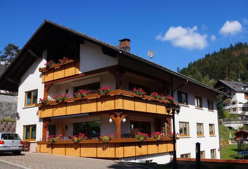 Номер Стандарт, Gästehaus Hanni