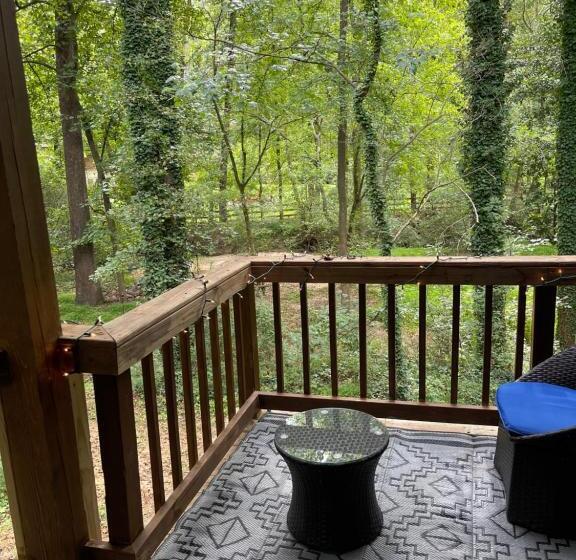 Номер Стандарт, Nature In The City