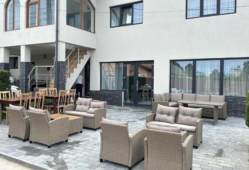 غرفة قياسية, Pensiunea Fellycia & Janett