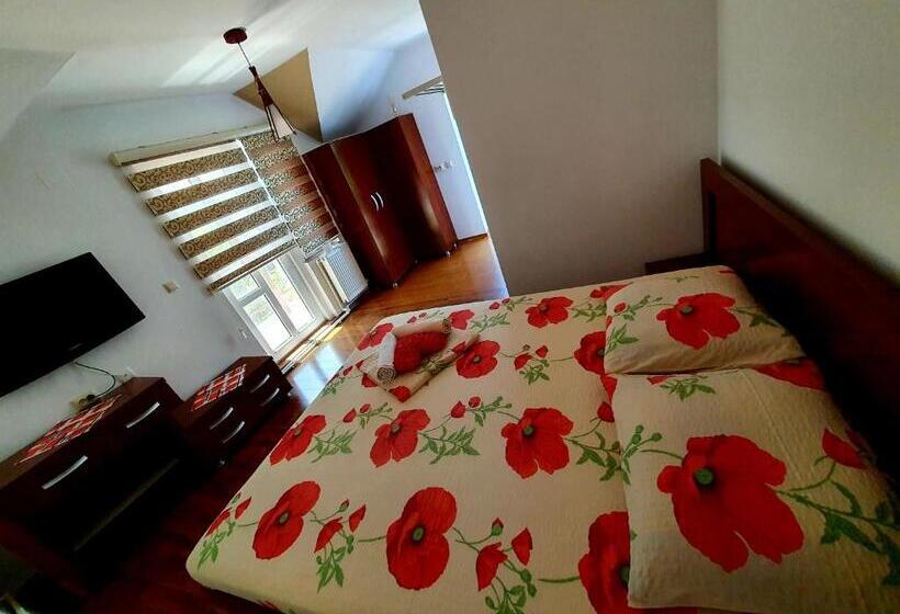 标准间, Casa Viselor De Vară