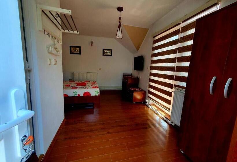 标准间, Casa Viselor De Vară