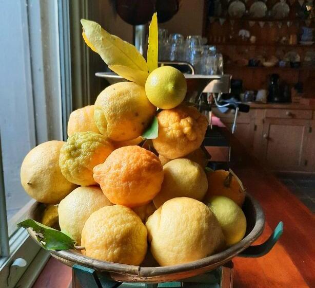 豪华房间, Windsor House B&b