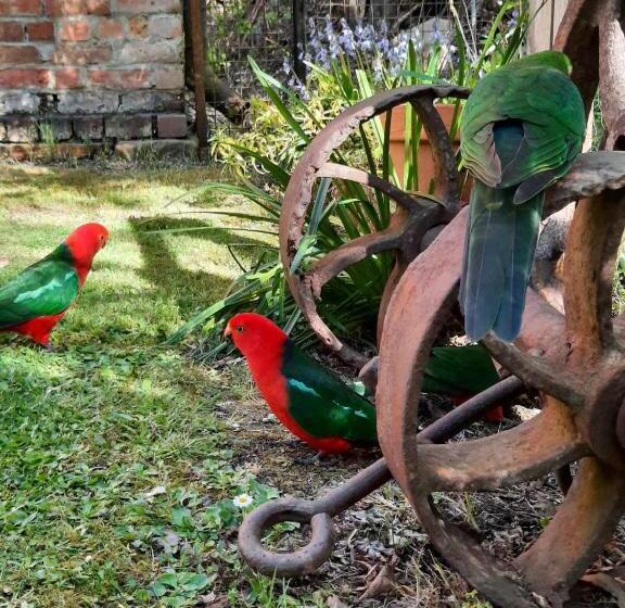 标准间, Windsor House B&b