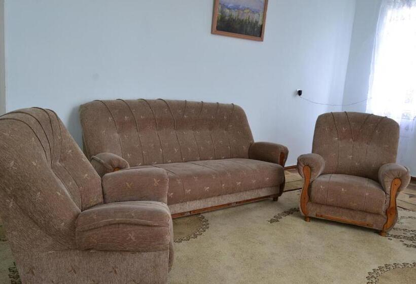 エコノミーシングルルーム, Health Resort Arzni 1