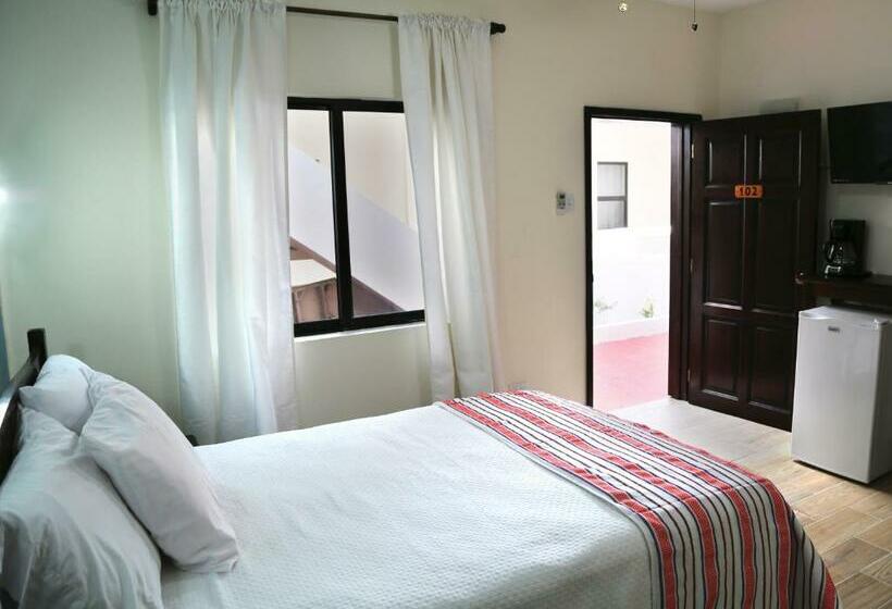 غرفة قياسية فردية, Jan S