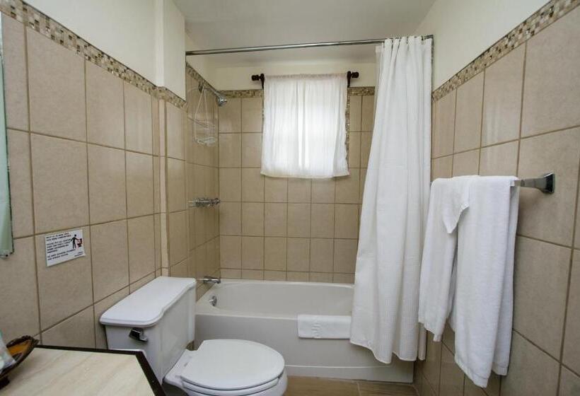 جناح مطلّ علي البحر, Jan S