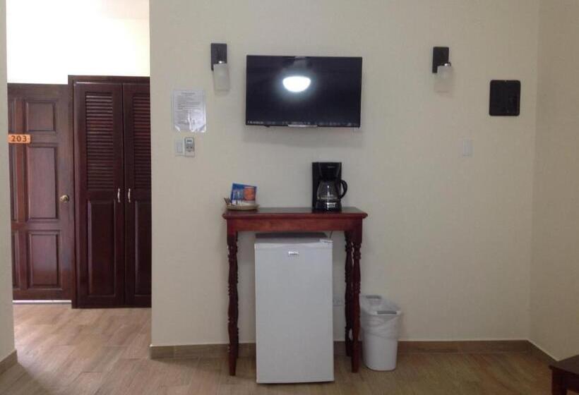 غرفة سوبيريور, Jan S