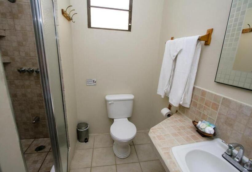 غرفة ديلوكس ثلاثية, Jan S