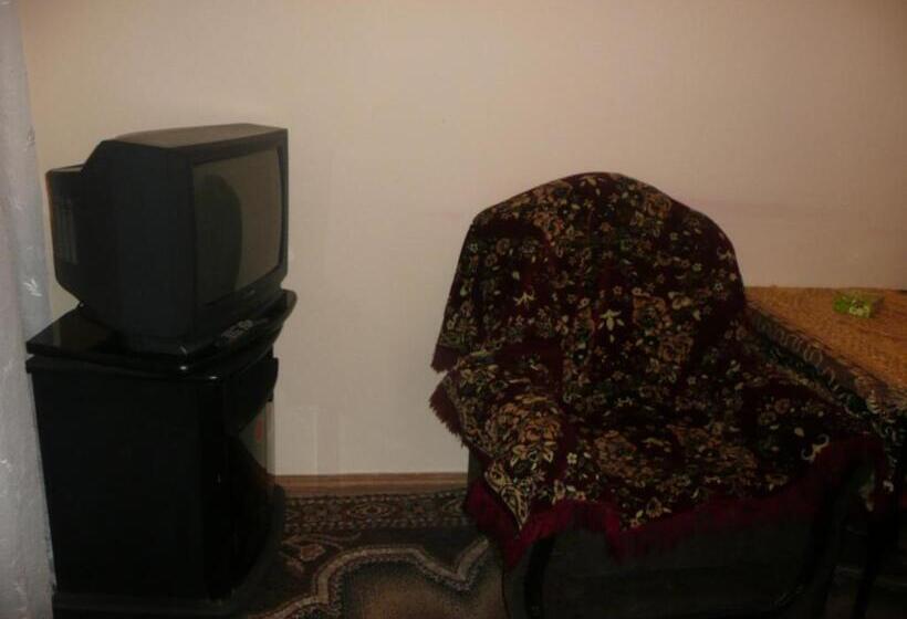 Camera Standard, Life