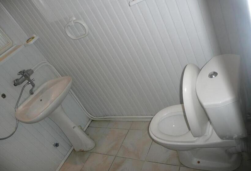 Camera Standard, Life