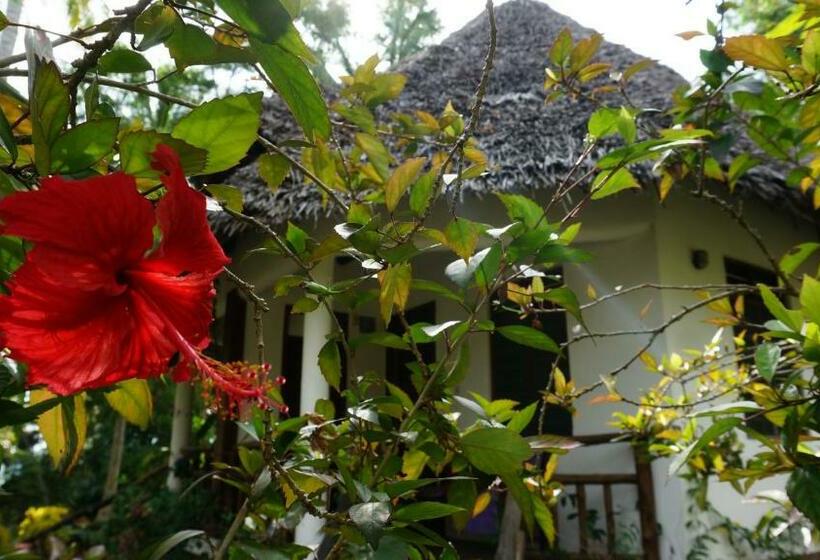 标准间带阳台, Mangrove Lodge