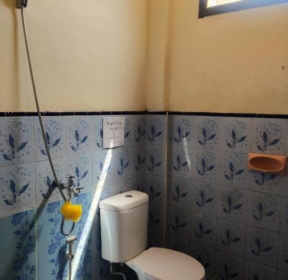 Deluxe Rum, Thalia Guesthouse Ijen   Bromo & Sukamade Tour