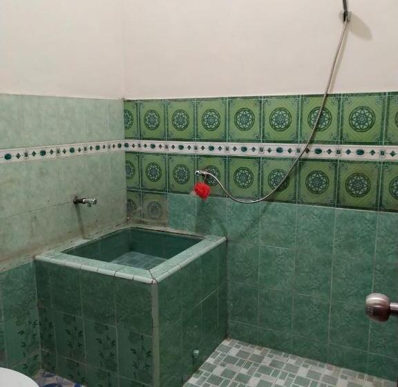 اتاق عادی, Thalia Guesthouse Ijen   Bromo & Sukamade Tour