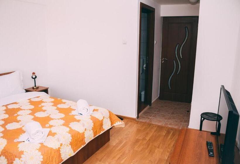 غرفة قياسية, Vila Dragomirna