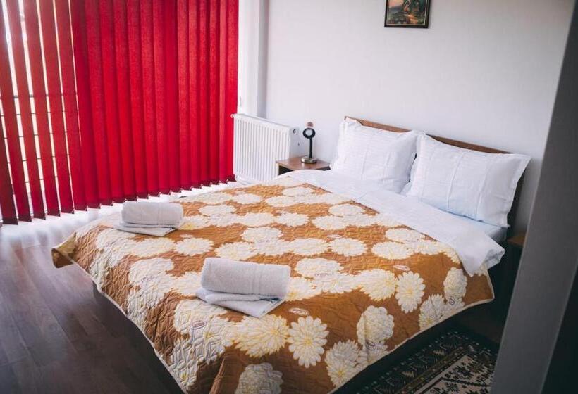 غرفة قياسية, Vila Dragomirna