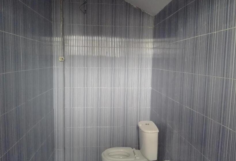 이코노미 룸, The Paradise In Kilimanjaro