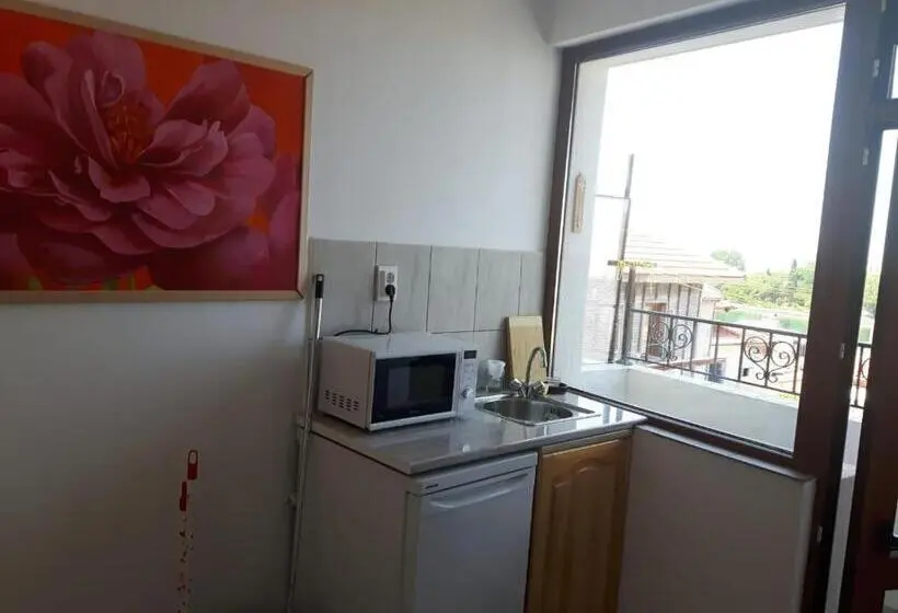 Basic-huone, Guest House Antique