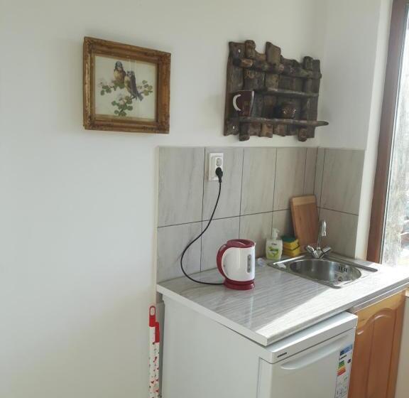 חדר סטנדרט נוף לים, Guest House Antique