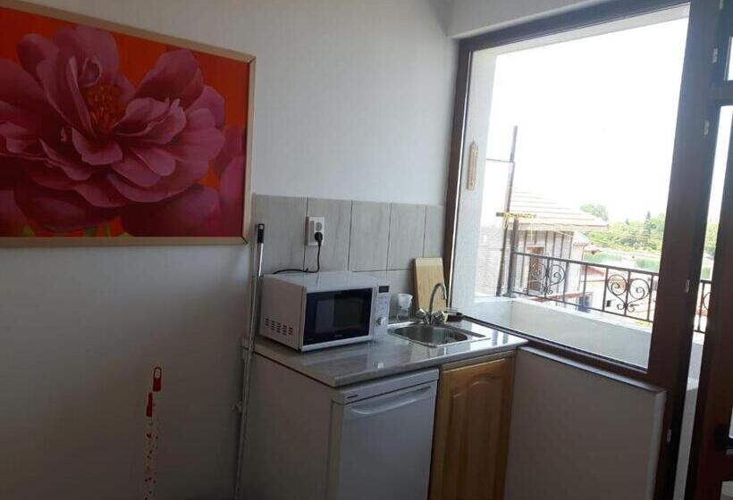 חדר סטנדרט נוף לים, Guest House Antique