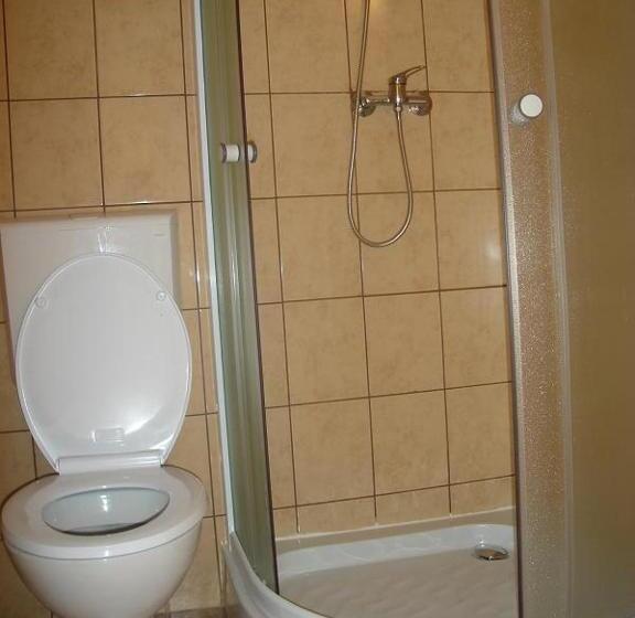 غرفة قياسية, Pensiunea Casa Vulkan