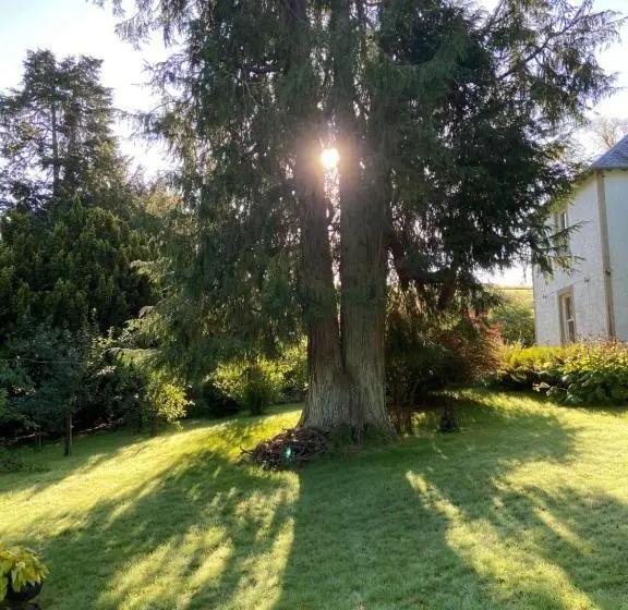 キングサイズベッドのスタンダードルーム, Colterscleuch House B&b
