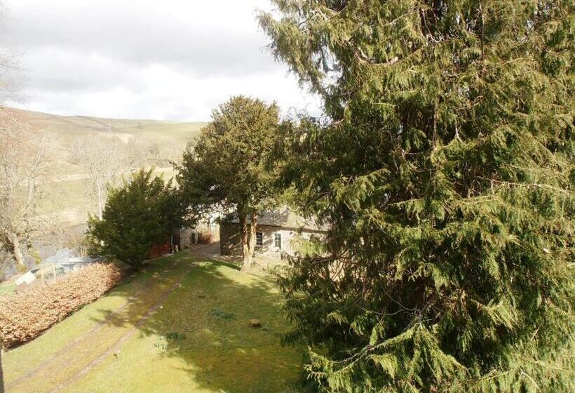 带大床的标准间, Colterscleuch House B&b