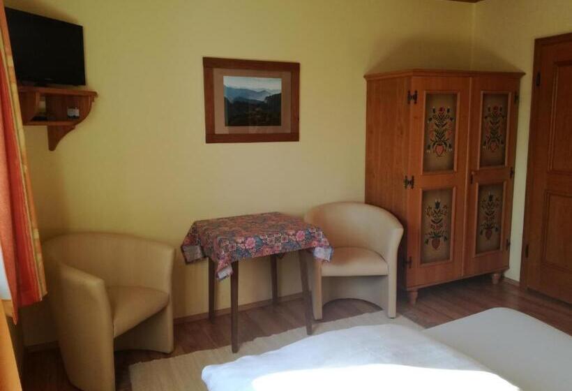 غرفة قياسية مطلة على الجبل, Haus Kapfinger