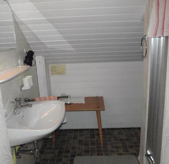 غرفة قياسية مطلة على الجبل, Haus Kapfinger