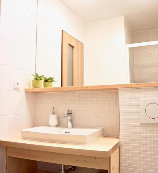 חדר סטנדרט לארבעה, Penzion Ekosport