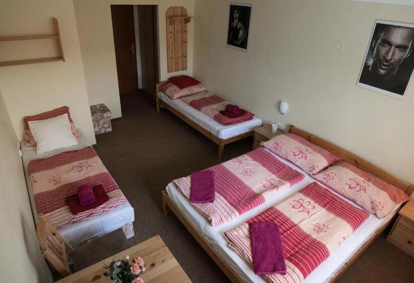 חדר סטנדרט לארבעה, Penzion Ekosport