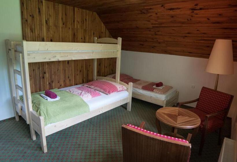 חדר סטנדרט, Penzion Ekosport